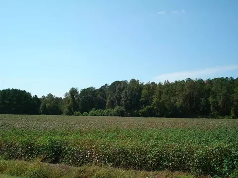 947 Obj Rd, Dunn, NC 28334 photo 21