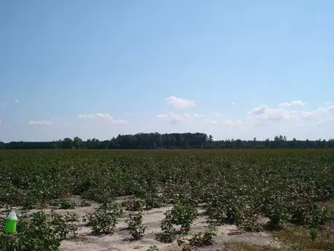 947 Obj Rd, Dunn, NC 28334 photo 18