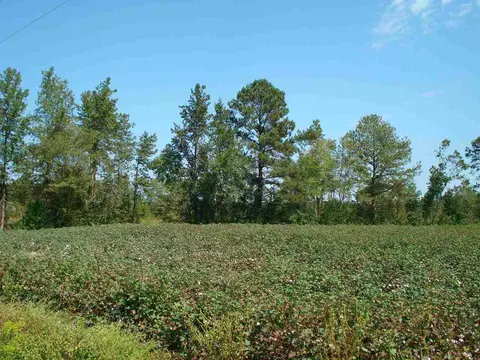 947 Obj Rd, Dunn, NC 28334 photo 16