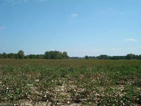 947 Obj Rd, Dunn, NC 28334 photo 6