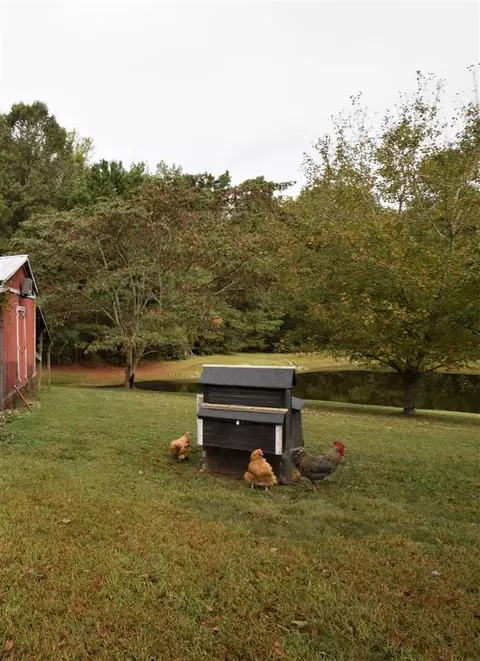 2429 Win Rd, Garner, NC 27529 photo 24
