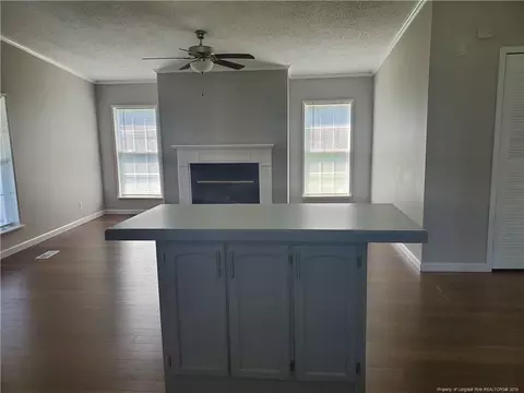 3762 E Nc 55, Dunn, NC 28334 photo 7