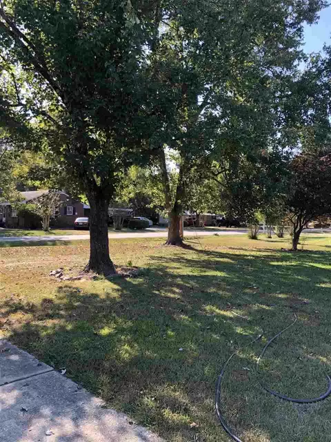 317 E Bingham St, Smithfield, NC 27577 photo 3