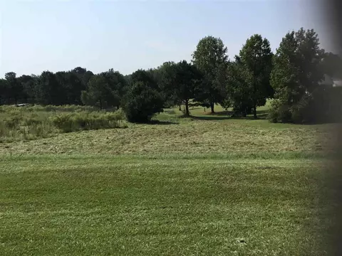 194 Roberts Trl, Benson, NC 27504 photo 4