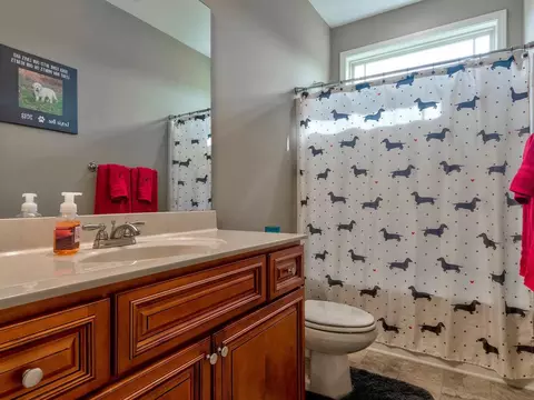 18 Creech Place Dr, Benson, NC 27504 photo 25