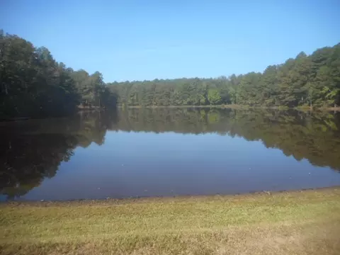 690 E River Rd, Moncure, NC 27559 photo 7