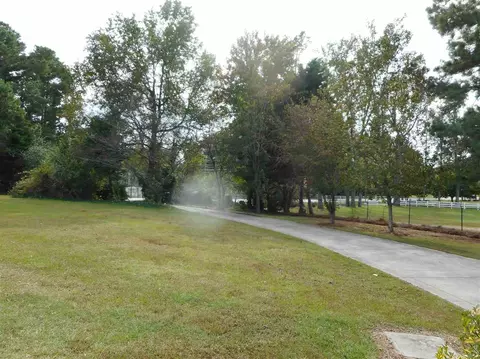 831 Dogeye Rd, Benson, NC 27504 photo 2