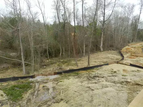 150 Pleasant View Ln, Benson, NC 27504 photo 10