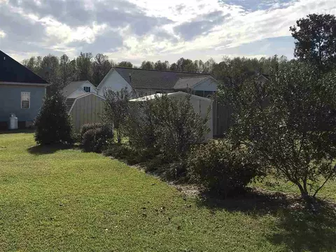 37 Avalone Ct, Angier, NC 27501 photo 25