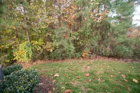 1438 Chatuga Way, Wake Forest, NC 27587 photo 18