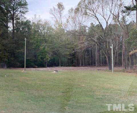 6245 Brogden Rd, Smithfield, NC 27577 photo 1
