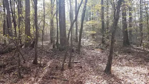 8037 Middleton Rd, Garner, NC 27529 photo 3