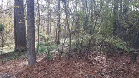 8037 Middleton Rd, Garner, NC 27529 photo 5