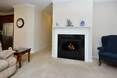 528 Birchrun Dr, Durham, NC 27712 photo 3