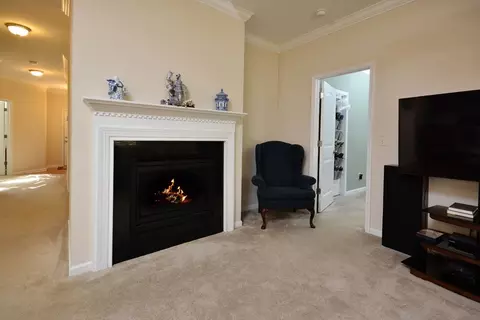 528 Birchrun Dr, Durham, NC 27712 photo 10