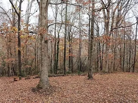 860 Mudham Rd, Wendell, NC 27591 photo 23