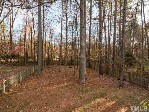 4809 Marvin Dr, Durham, NC 27707 photo 29