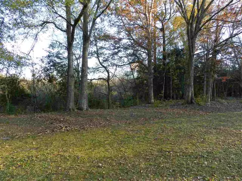 171 Phobos Pl, Garner, NC 27529 photo 11