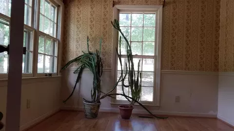 1602 Goodwin Rd, Durham, NC 27712 photo 7