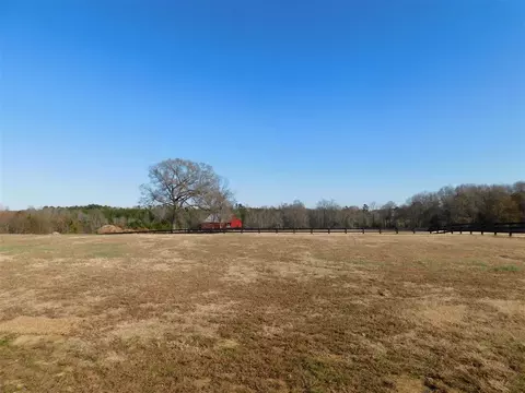 42 Troutman Way, Willow Spring, NC 27592 photo 19