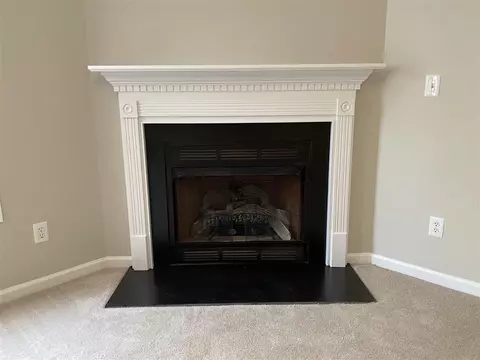 345 Gray Ghost St, Benson, NC 27504 photo 5