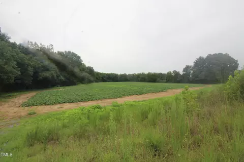 171 Bizzell Grove Church Rd, Micro, NC 27576