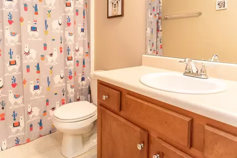 912 Dickinson Rd, Smithfield, NC 27577 photo 19