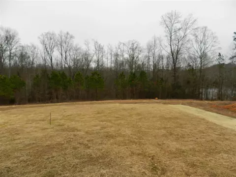 537 Bornean Dr, Garner, NC 27529 photo 10