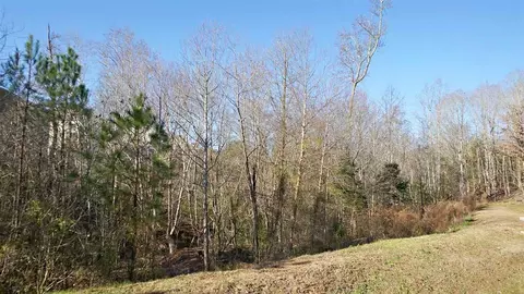 1611 Main Divide Dr, Wake Forest, NC 27587 photo 21
