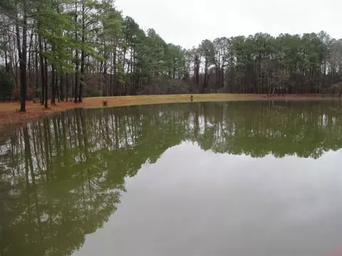 670 E River Rd, Moncure, NC 27559 photo 6