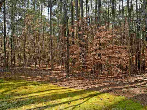 7917 Stone Forest Way, Wake Forest, NC 27587 photo 8