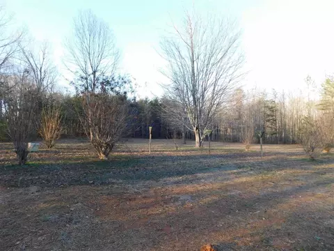 2536 Gray Fox Ln, Staley, NC 27355 photo 29