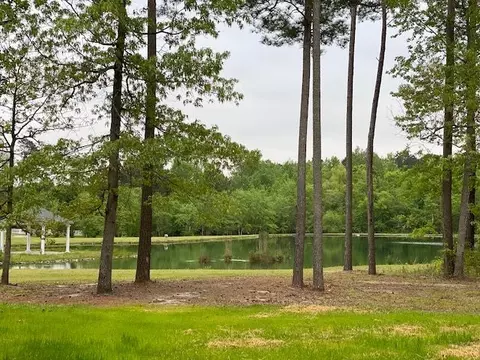 340 Josie Dr, Benson, NC 27504 photo 15