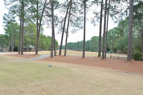 50 Thunderbird Ln, Pinehurst, NC 28374 photo 29
