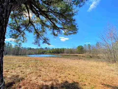 3716 Halcyon Way, Stem, NC 27581 photo 8