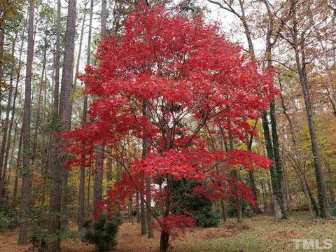 6140 Wolverhampton Dr, Raleigh, NC 27603 photo 26