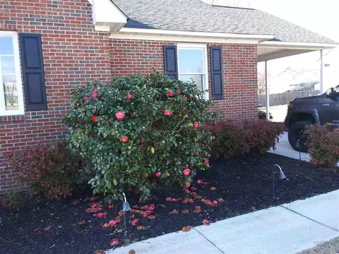 505 E Pine St, Pine Level, NC 27568 photo 21