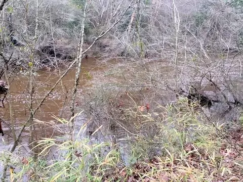 112 Traders Mill Run, Kenly, NC 27542 photo 18