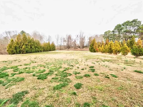 28 Pleasant Ln, Willow Spring, NC 27592 photo 4