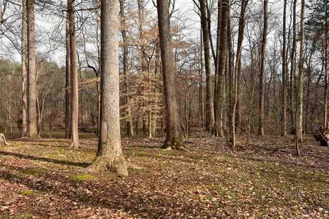 490 Cedar Laurel Ln, Rougemont, NC 27572 photo 9