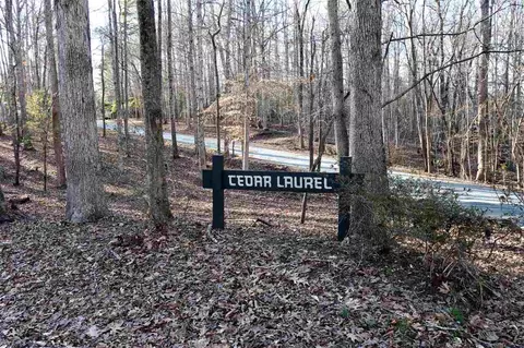 490 Cedar Laurel Ln, Rougemont, NC 27572 photo 28