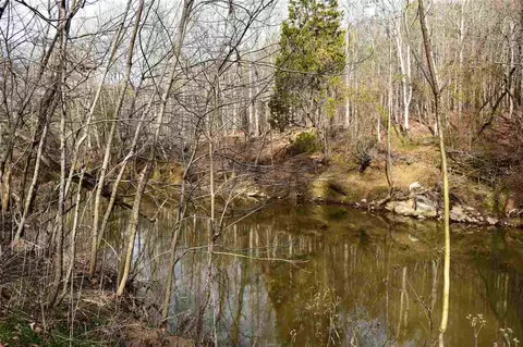 490 Cedar Laurel Ln, Rougemont, NC 27572 photo 10