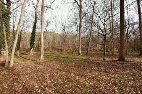 490 Cedar Laurel Ln, Rougemont, NC 27572 photo 3