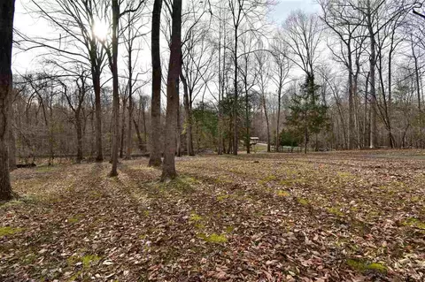 490 Cedar Laurel Ln, Rougemont, NC 27572 photo 8