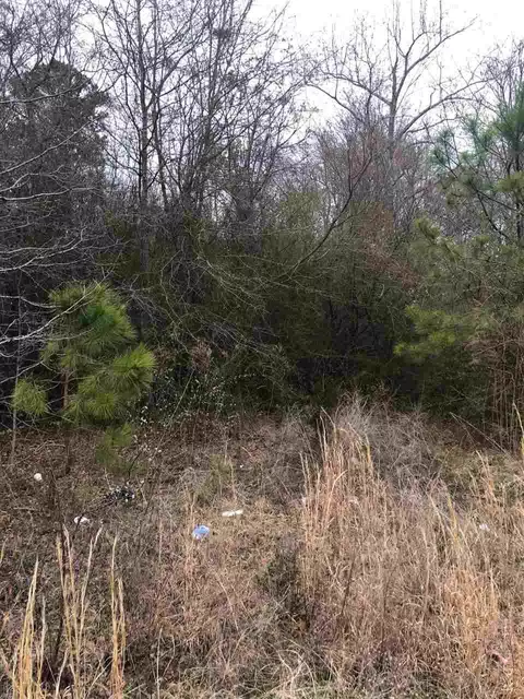 505 Nutgra Nutgrass Rd, Bunnlevel, NC 28323 photo 1