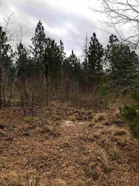 505 Nutgra Nutgrass Rd, Bunnlevel, NC 28323 photo 7