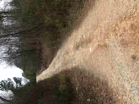 505 Nutgra Nutgrass Rd, Bunnlevel, NC 28323 photo 4