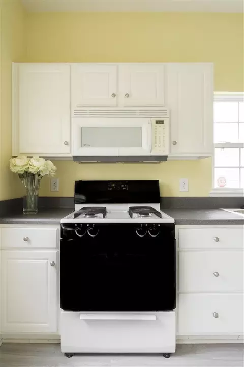 1 Newtown Ct, Durham, NC 27713 photo 13