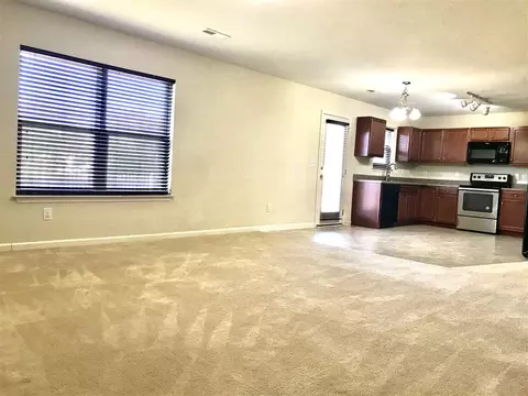 144 Gray Ghost St, Benson, NC 27504 photo 13