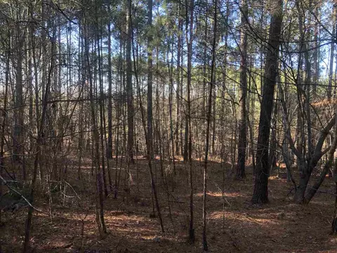 75 In Harmony Way, Moncure, NC 27559 photo 3
